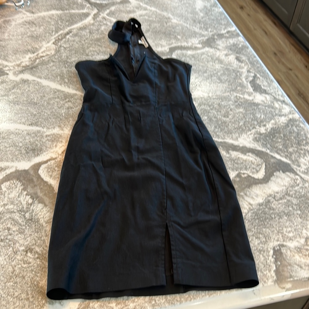 Charlotte Russe body on Dress